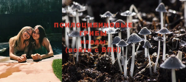 кокс Белокуриха