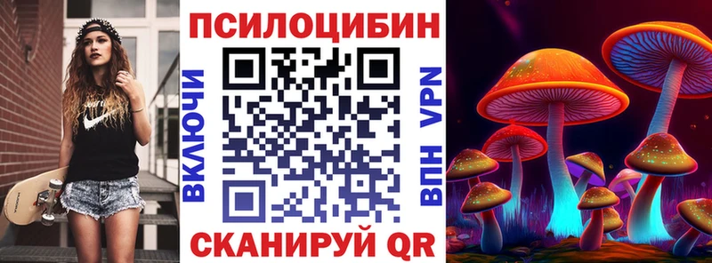 МЕГА зеркало  Дубовка  Псилоцибиновые грибы MAGIC MUSHROOMS 