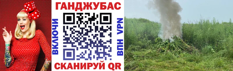 как найти наркотики  Дубовка  KRAKEN онион  Конопля тримм 
